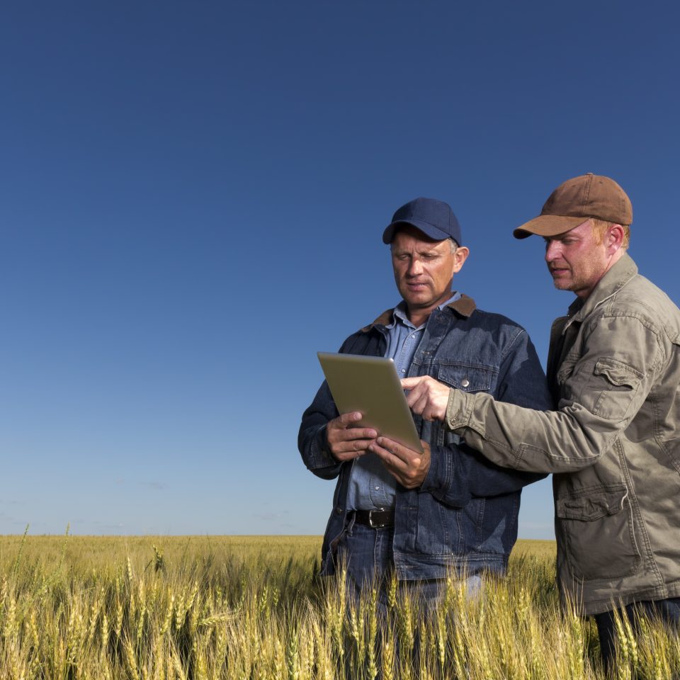 An image from the farming industry of two farmers using a tablet PC.