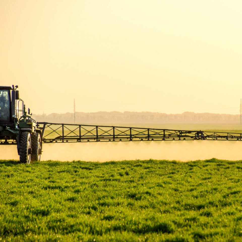 Tractor with high wheels is making fertilizer on young wheat. The use of finely dispersed spray chemicals. Tractor on the sunset background.