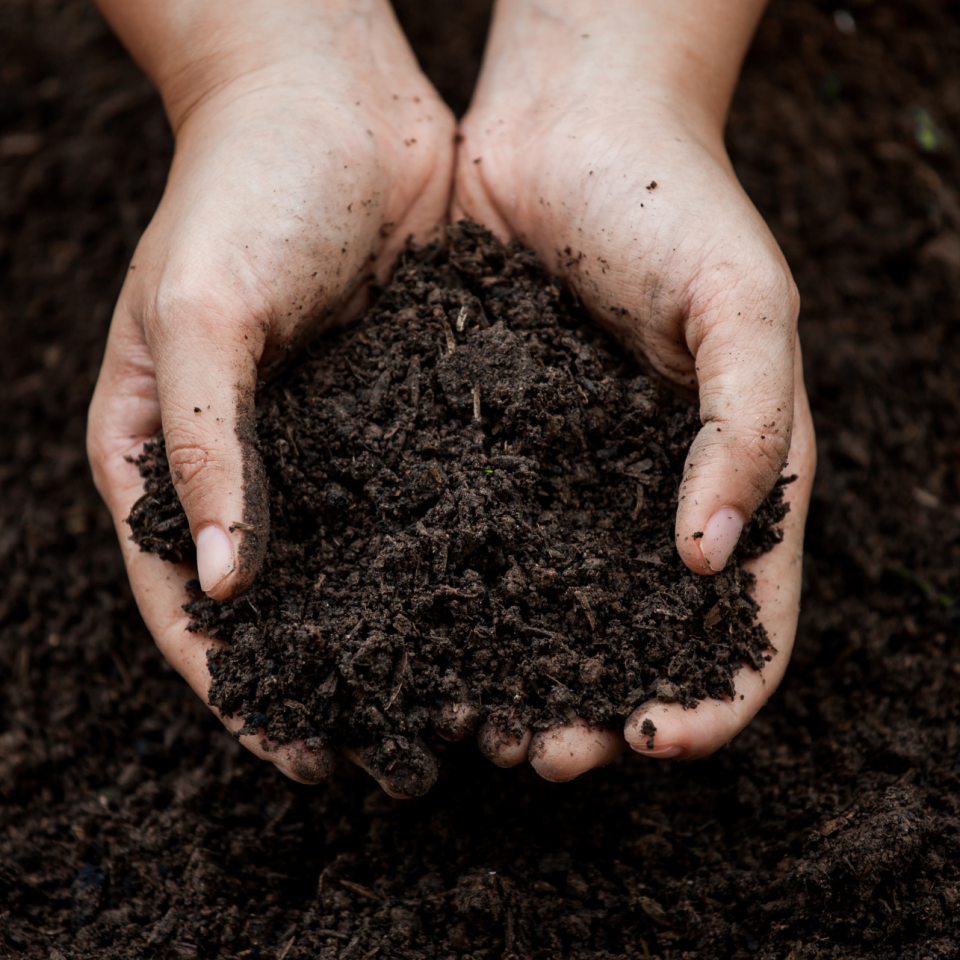 Three Benefits of Fall Soil Sampling