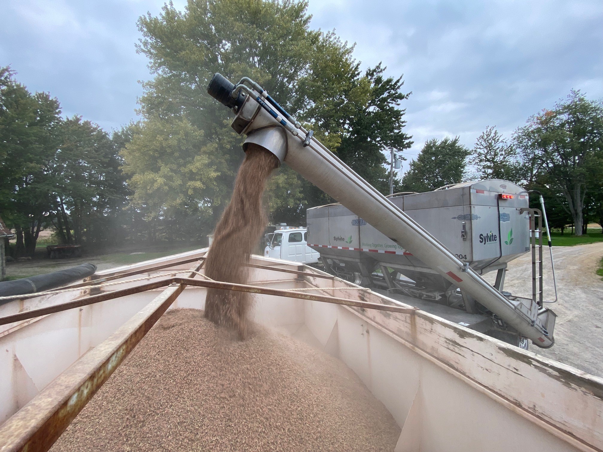 Loading a pull spreader with a blend of fertilizer and cover crop.