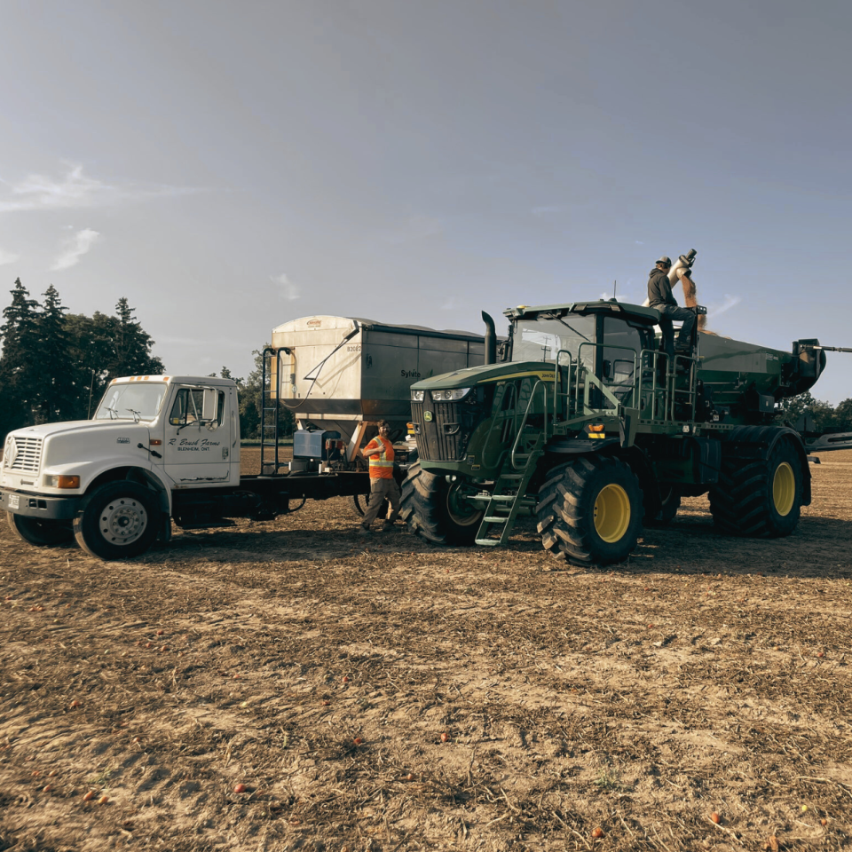 Fall Crop Management Tips