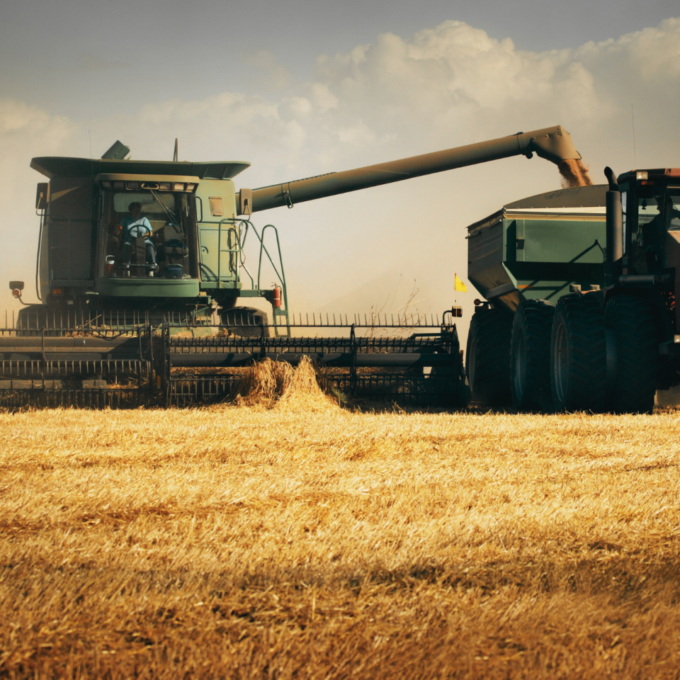 Post-Harvest Burndown in September: Maximizing Fall Weed Control in Ontario