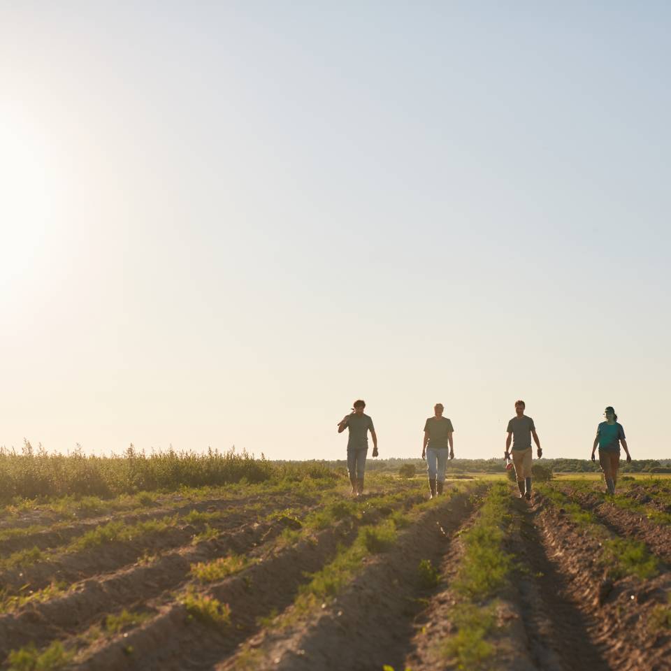Silent Symptoms, Big Consequences: Field Scouting That Pays Off